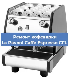 Чистка кофемашины La Pavoni Caffe Espresso CFL от накипи в Новосибирске